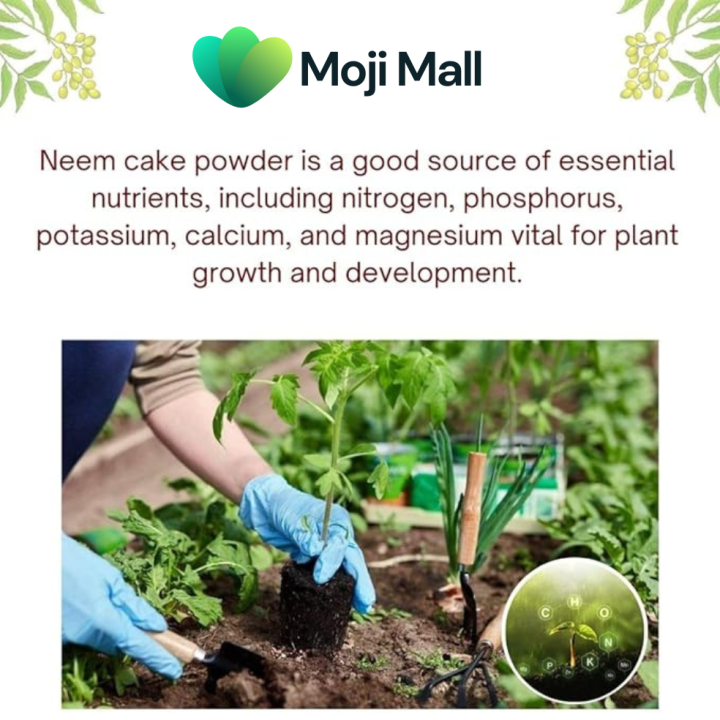 Organic%20Neem%20Cake%20powder%20Fertilizer%20for%20plants%20-%20Pest%20Control%20-%20%D9%86%DB%8C%D9%85%20%DA%A9%DB%8C%DA%A9%20-%20Natural%20Khad%20-%20Home%20Garden%20Fertilizer%20for%20Vegetable%20&%20Flower%20-%20Neem%20Khali%20powder%20for%20Healthy%20Plants%20-%20Improved%20Soil%20Health%20-%20Eco-Friendly%20by%20Moji%20Mall%20-%20Image%204