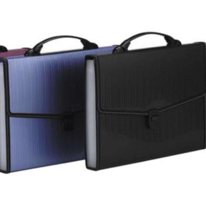 Expanding Bag - F/C Size - 12 Pockets