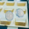 Dur e Najaf stone original / Real Dur e Najaf Gemstone / Real mine Stone. 