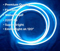 220V ICE BLUE  Neon Flexible & Waterproof LED Rope Lights For Indoor/Outdoor Decorations.. 