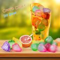Ice Cubes Fruit Shape Reusable Plastic Ice Cubes, Chills Drinks Without Diluting, BPA Free, Washable Fake Ice Cubes for Cocktails, Wine, Beer or Coffee | Pack of 10. 
