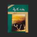Jannat Kay Pattay Urdu novel by Nemra nimra Ahmed Best selling urdu reading book. 