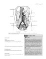 Mini Snell | Clinical Anatomy: An Illustrated Review With Questions and Explanations. 