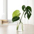 IKEA KARAFF Clear Glass Carafe 1.0 Liter Elegant Tableware Vase for Home Use. 