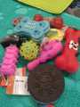 Imported - Dog Biting Rubber Toys - Interactive And Playful Toy For Dogs - Multi Colour. 