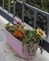 Best Indoor/Outdoor Stainless Steel Flower Pot With Coco Peat & Seeds For Your Garden. 