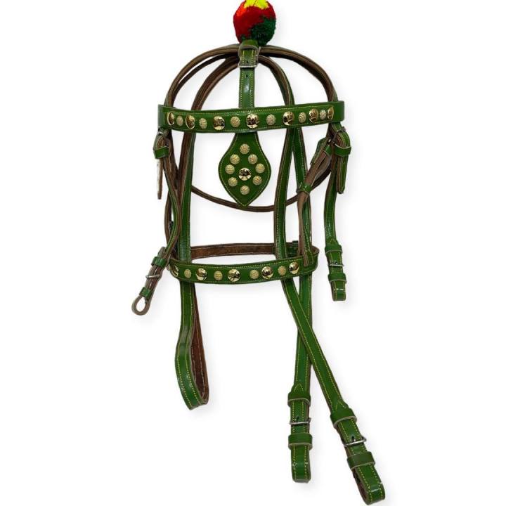 Neza Bazi Horse Riding Leather Special Bridle + Reins ( Adjustable )