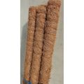 Plant Sticks (3ft) - Pack of 3 - Plant Support - Rod - Pole - Indoor Plant Support - Coir - Money plant support - Straightener. 