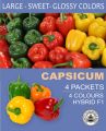 4 Different Packets Capsicum Varieties Hybrid F1 Seeds. 