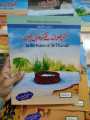 Prophet Stories for Kids with English and Urdu | Islamic Stories Pack of 12 Books. 