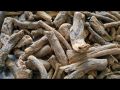 RHUBARB ROOTS / REVAND KHATAI /(ریوند خطائ ) REVAND CHINI /(عمدہ اور تازہ ہماری پہچان) REVAN CHINI ROOTS / REVAND KHATAI JADD / REWAND KHATAI / 100% NATURAL DILDAR HERBALS 100 GRAM. 