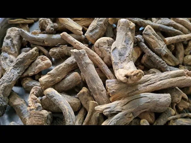 RHUBARB%20ROOTS%20/%20REVAND%20KHATAI%20/(%D8%B1%DB%8C%D9%88%D9%86%D8%AF%20%D8%AE%D8%B7%D8%A7%D8%A6%20)%20REVAND%20CHINI%20/(%D8%B9%D9%85%D8%AF%DB%81%20%D8%A7%D9%88%D8%B1%20%D8%AA%D8%A7%D8%B2%DB%81%20%DB%81%D9%85%D8%A7%D8%B1%DB%8C%20%D9%BE%DB%81%DA%86%D8%A7%D9%86)%20REVAN%20CHINI%20ROOTS%20/%20REVAND%20KHATAI%20JADD%20/%20REWAND%20KHATAI%20/%20100%25%20NATURAL%20DILDAR%20HERBALS%20100%20GRAM%20-%20Image%203