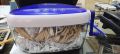 A4 size Paper Shredder to Cut Quilling Strips Manual Shredder. 