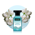 Saif ul Malook | Most Popular Aquatic Scent | Top Trending Perfume | Scents N Stories. 