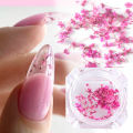 Gypsophila Nails Art Decorations Real Flower UV Gel Acrylic Decal Tips Craft DIY Summer Manicure Charms Nail Supplies LAGH01-08. 