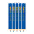 Picasso Checking 12 Pcs High Quality Colour Pencils. 