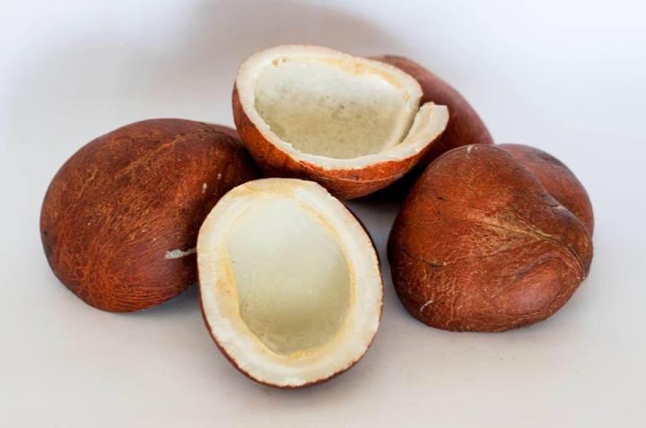 COCONUTS%201%20KG%20high%20quality%20-%20Image%206