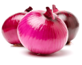 Onion seeds (Piaz) for kitchen gardening for home garden vegetables. 