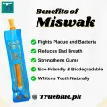 Miswak Toothbrush Pack of 3 Miswak + 3 Plastic Holder | Premium Quality Miswak and Holder | Portable Plastic Holder with Miswak. 