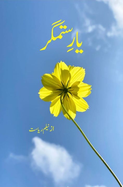 Yar e Sitamgar - یار ستمگر BY Neelam Riyasat Urdu Novel