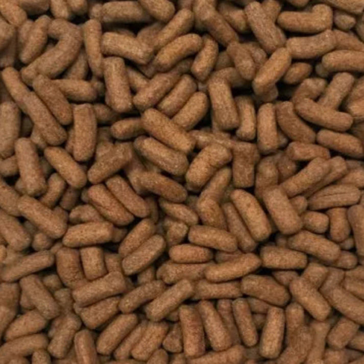 AZOO%209%20In%201%20Small%20Turtles%20Food%20Sticks%20Plus%20Glucan%20Immunity%20Formula%20%E2%80%93%20120ML%20-%20Image%207