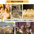 Imported Auto Temperature Control Brooder for all Bird's 78 * 40 * 42 cm. 