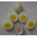 Mini Egg  Timer Kitchen Boiled Toolbox Tool. 