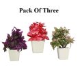 3 pc artificial plant for decoration in home - office - school - college. 