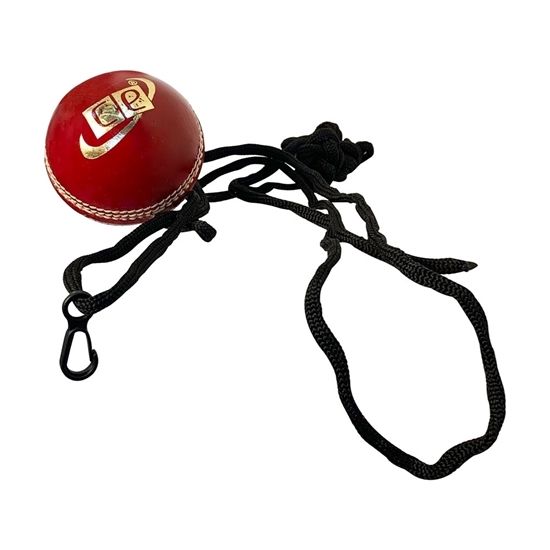 Cricket Hanging Hard Ball with Rope for Bat Stroke Knocking Batting Practice and Middling Cricket Batting Drives by easily  alls for Kids Personal and Professional Practicing Use | Pack of 1 Hanging Cricket Ball | String Cricket Balls | Hand Eye Coordinat