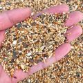 (pack of 1 kg) Mix bird food feed seed for small budgies love birds | chirya ka dana | sparrow  | bajra and sunflower seeds mix | totay and parrots eat food. 