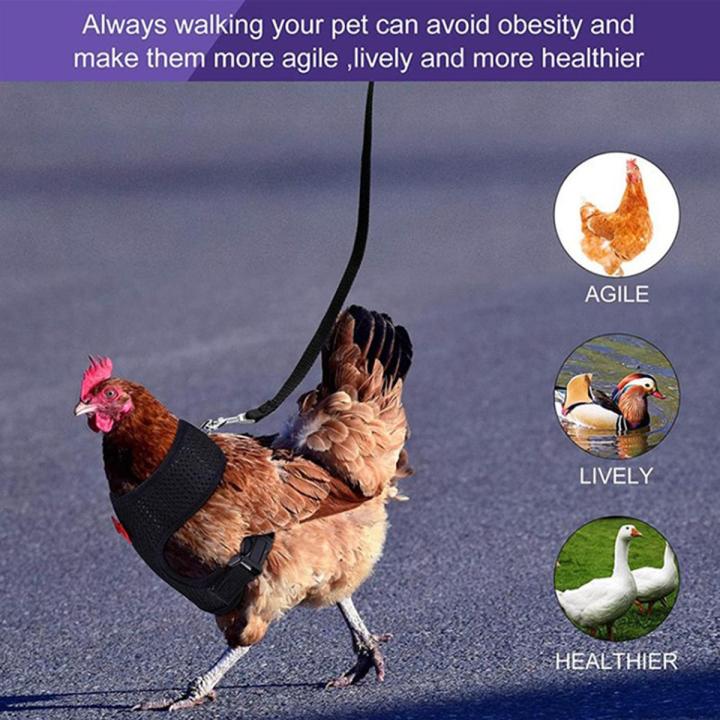 【HOT】 Fashion Adjustable Chicken Harness Leash Comfortable Breathable Small Size Hen Pet Vest For Chicken Duck Goose Training Walking