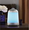 Cute Air Humidifier Purifier Cool Mist Sprayer - USB Powered Super Quiet Humidifier. 