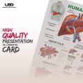Human Liver Wall Chart | Wall Poster for Science Labs and Healthcare Clinics | HD pictures Printed on 200 grams Laminated Card 23*36. 
