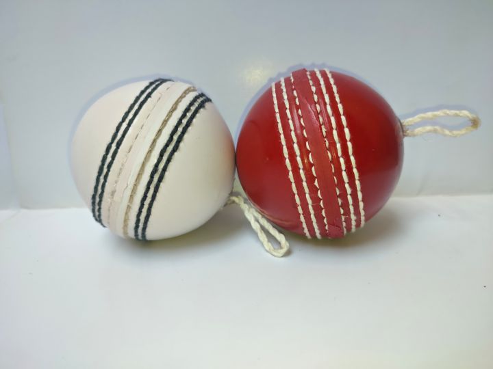 Hanging%20Practice%20Ball%20with%20and%20without%20elastic/rope%20Hangable%20Practice%20ball%20for%20Shots%20Practice%20Indoor%20Hangable%20Practice%20Ball%20to%20play%20cricket%20by%20your%20own%20%7C%20by%20Partners%20Collections%20-%20Image%208