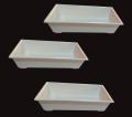 Pack of 3 Beautiful Kiyari  for indoor & outdoor size 10 x 5.5 Inch. 