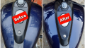 High Gloss Motor Bike Polish - Core All in 1 Bike Polish for Tire, Seat, Tank and all plastic parts | 100ml Made in Germany. 