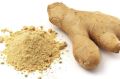 Ginger Powder    Ginger Powder   Ginger Powder    Ginger Powder    Ginger Powder. 