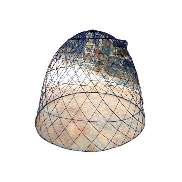 Aseel Murgh Tokra Cage for Aseel Murgh Hens Poultry Chicken