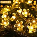 PACKIFY 20 Moon LED Fairy Lights Battery Operated - Led Lights for Room Decoration - String Garland Light for mirror. 