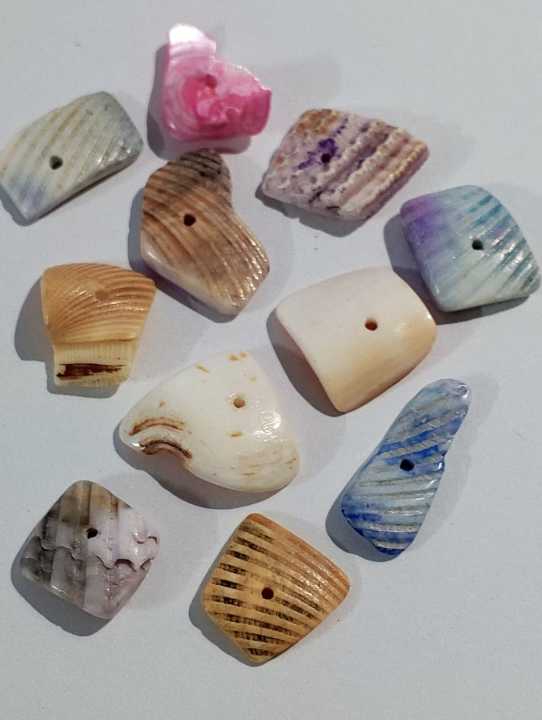 Natural%20Sea%20Shell%20Cuttings%20With%20Smooth%20Edges%20For%20DIY%20Crafts%20%7C%2040gms%20%7C%20Real%20Cut%20Shell%20Pieces%20With%20Hole%20%7C%20Beads%20Or%20Pendent%20%7C%20Ideal%20For%20DIY%20Jewelry%20Making,%20Dress%20Accessories,%20Crafting,%20And%20Home%20Decoration%20-%20Image%207