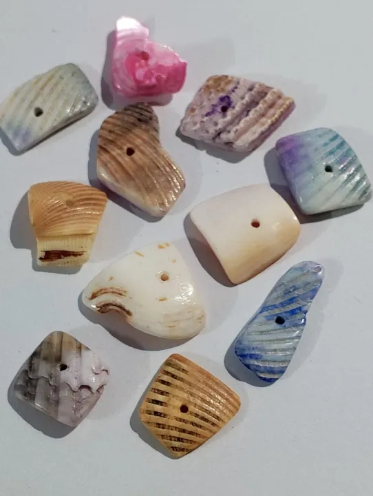 Natural%20Sea%20Shell%20Cuttings%20With%20Smooth%20Edges%20For%20DIY%20Crafts%20%7C%2040gms%20%7C%20Real%20Cut%20Shell%20Pieces%20With%20Hole%20%7C%20Beads%20Or%20Pendent%20%7C%20Ideal%20For%20DIY%20Jewelry%20Making,%20Dress%20Accessories,%20Crafting,%20And%20Home%20Decoration%20-%20Image%207