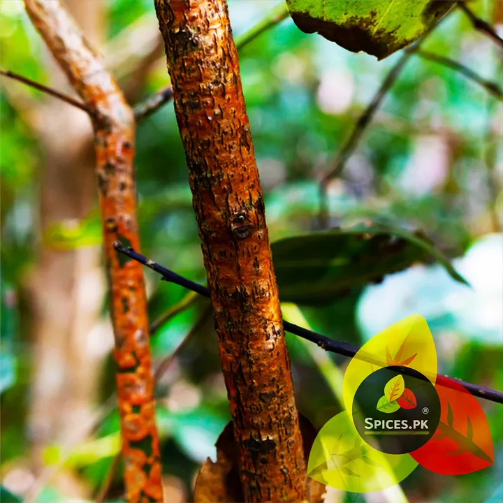 Premium%20Organic%20Cinnamon%20Powder%20(Dar%20Chini%20Powder)%20-%20100%25%20Pure%20Fine%20Ground%20Dalchini%20Spice%20-%2060g%20Export%20Quality%20-%20Image%208