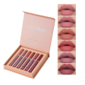 6Pcs Nude Makeup Lipstick Liquid Velvet Matte Gloss Lip Red Lipstick Nude Women Long Lasting Waterproof Beauty Cosmetic Kit. 
