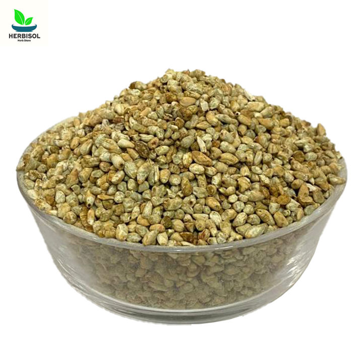 Banola 1KG - Cotton Seeds - 100% Original, Fresh Banolay Ke Bheej / Magaz Bnola Beej / Maghaz Bhij 1000 grams by Herbisol