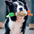 Dog Squeaky Toys Duck Plush Toy Cat Dog Chew Toy Fun Interactive Squeaker. 
