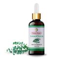 Euclayptus  Oil 30ml. 