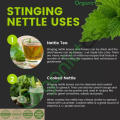 Organic NETTLE LEAF Herbal Tea Dried Cut 100g Premium Quality. 