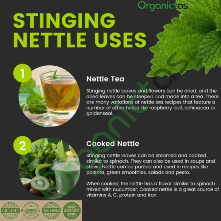 Organic%20NETTLE%20LEAF%20Herbal%20Tea%20Dried%20Cut%20100g%20Premium%20Quality%20-%20Image%206