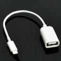 For Apple Interface Male to USB Female OTG Adapter Cable for Apple iPhone 5 5s 6 6s Plus 7 Style:Suitable for iOS 10.2 and below. 