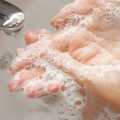 IZFA Bloom Anti Bacterial Liquid Hand Wash Pump - 500ml | Premium Rose Fragrance Moisturizing Handwash For Soft Hands. 